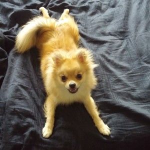 Meet your Posher, Juliana